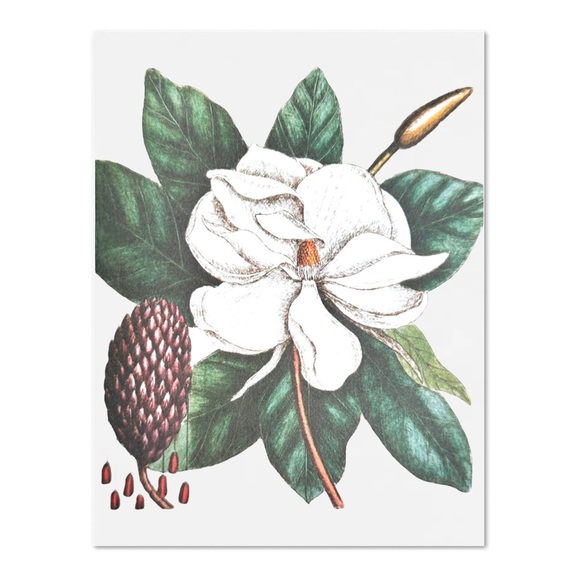 The Laurel Tree of Carolina Blank Card - Picture 3 of 12